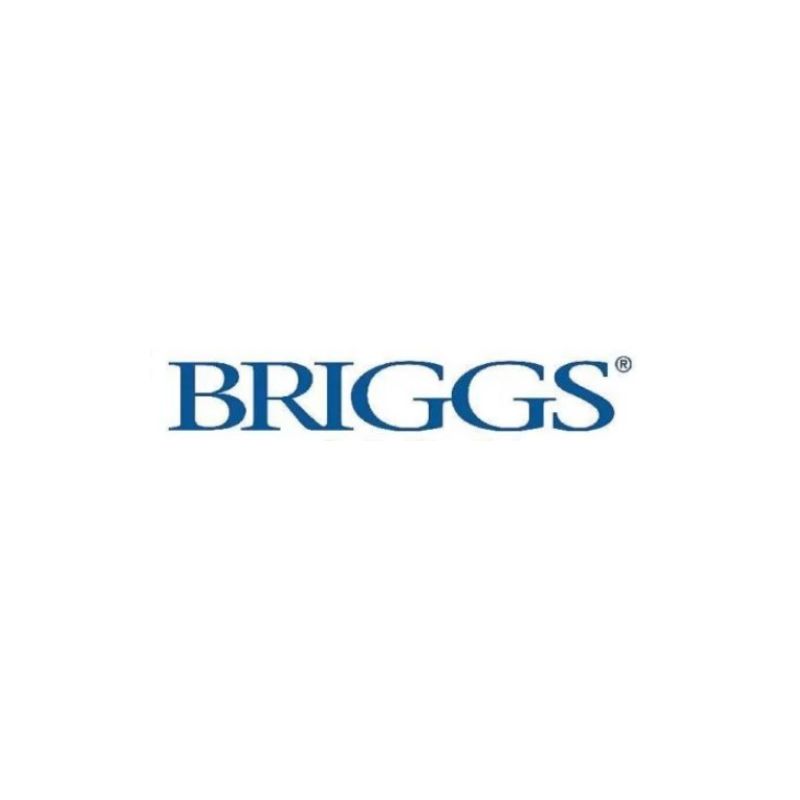 BRIGGS Plumbing Logo
